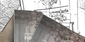 Felicità a mezz’aria di Maria Gualtieri