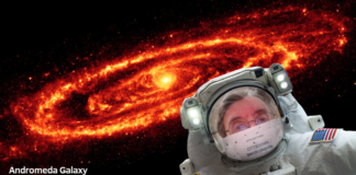 I ‘Progetti’ di Mirco Goldoni