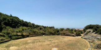 Fdi, Cuccioletta “Il Pd ci abbandona ad un’estate arida e Borelli da la colpa ai cittadini” anfiteatroincuria1