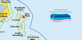 LA CASA MUSEO DI UGO TOGNAZZI E IL MARCHIO “LA TOGNAZZA”