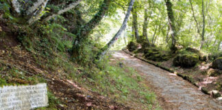 Il 20 agosto, Archeo-Trekking a Monte Cavo