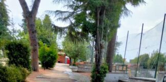 I cittadini denunciano il degrado di Villa del Vescovo di Cecchina villa vescovo 1