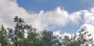 Ex tribune olimpiche: sopralluogo al cantiere che sta dando nuova vita all’area storica di Castel Gandolfo