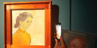 Van Gogh, abissi, vortici e emozioni vangogh