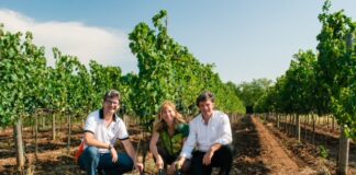 Il Progetto VinoinVigna arriva nel Lazio, sabato 12 novembre evento di presentazione a CantinAmena (Lanuvio)