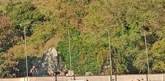 VJS VELLETRI BATTE LA PRO CALCIO CECCHINA 3-1