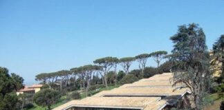 Giornata di Open Day alla Paolo VI di Castel Gandolfo scuolapaolo6