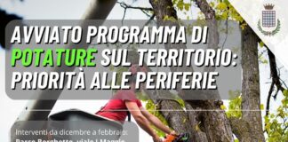 Iniziati lavori di potatura e manutenzione dell’alberatura pubblica a Grottaferrata potaturegrottaferrata