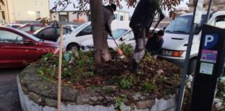 Aree verdi a Ciampino, riqualificato Parco Aldo Moro