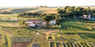 Mangiare bene aiutando il prossimo lanuovaarca