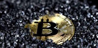 Investimenti italiani: criptovalute in testa con il 42% criptovalute