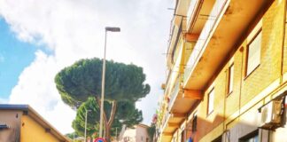 Ssd Colonna, il settore pattinaggio scalda i motori per il secondo trofeo “Piccole Stelle New Energy”