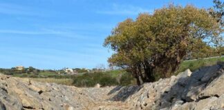 SANTA MARINELLA, CONCLUSI I LAVORI DI MESSA IN SICUREZZA DEL FOSSO PONTON DEL CASTRATO