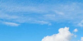 Il Sindacato Nazionale Lavoratori e Liberi Professionisti sbarca in Campania taxiscocozza