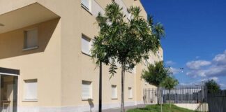 Acqua potabile a Villaggio Ardeatino, installati i distributori fissi ardeamunicipio