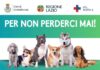 Giornata di Microchippatura gratuita: 1 aprile 2023 alla Fiera di Grottaferrata microcippatura