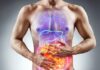 Disbiosi intestinale: cos’è, come riconoscerla e trattarla disbiosi