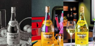 Gotto d’oro al Vinitaly 2023, ambasciatrice dei vini del Lazio vinomarinodoc