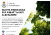 Grottaferrata: un nuovo strumento per la tutela degli alberi e per la sicurezza dei cittadini nei casi di abbattimento 1scia