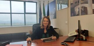 Guidonia Montecelio, la manutenzione del patrimonio arboreo comunale è una delle priorità dell’Amministrazione