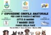 A Marino prima Esposizione Cinofila Amatoriale esposizionecinofila
