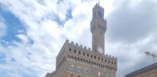 FORMARE CON LA BELLEZZA