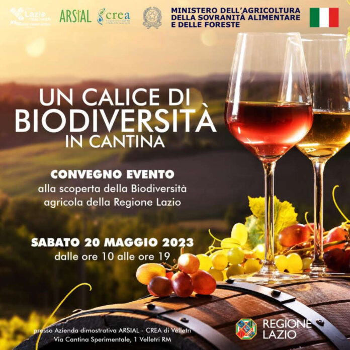 biodiversita1bisok biodiversita1