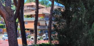 Sul taglio dei Pini, il PD di Monte Porzio Catone si scaglia contro l’Amministrazione