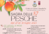 Torna la Sagra delle Pesche di Castel Gandolfo sagrapesche23