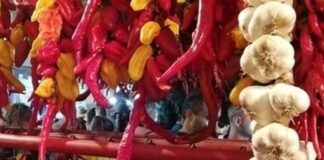 Fiera Mondiale del Peperoncino 2025: ufficiale anche la presenza dell’Ecuador