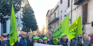 Inceneritore di Santa Palomba, nuove adesioni per il ricorso al Consiglio di Stato