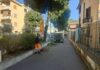 Velletri, pulizia del territorio e piantumazione su viale Roma puliziaviaromavelletri