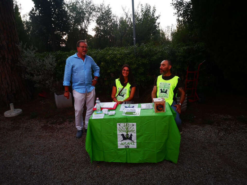 serataarsialrieti3