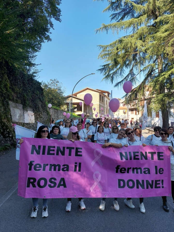camminatarosa22