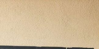 Football Club Frascati (Prima cat.), mister Tripodi: “Non ho paura di lavorare con i giovani”