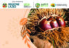 Castagnata nell’Agro Romano per sostenere le produzioni di castagne e sensibilizzare sul valore economico e sociale del mondo agricolo castagnata
