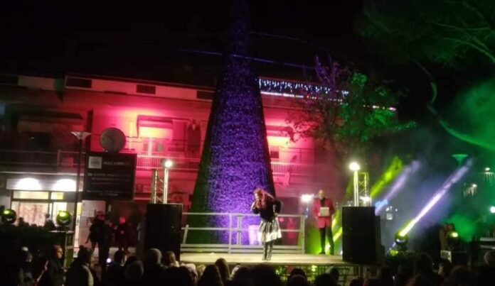 lucinatalesantamaria