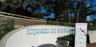 Different Wine Festival: tre giornate a Roma dedicate alle eccellenze vinicole dello Stivale Acquario di Roma_EUR