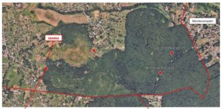 Grottaferrata – Sentiero 508: dal 9 gennaio parte la rimozione e lo smaltimento dei rifiuti abbandonati