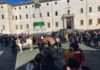 Ariccia, successo per i festeggiamenti in onore di Sant’Antonio Abate benedizioneanimaliariccia