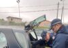 Continuano le operazioni della Polizia Locale di Lanuvio vigililanuvio