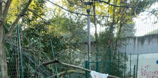 Parco San Godenzo, Ariola (Osservatorio Strategie Politiche) “Dall’inizio lavori, 90 giorni per nuovo look” parco_san_godenzo