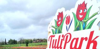 Tulipark, i fiori della porta accanto tulipark