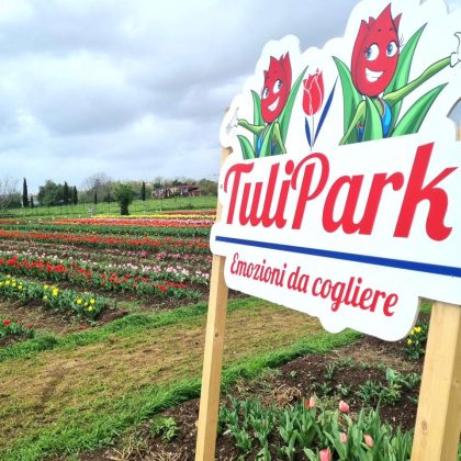 tulipark