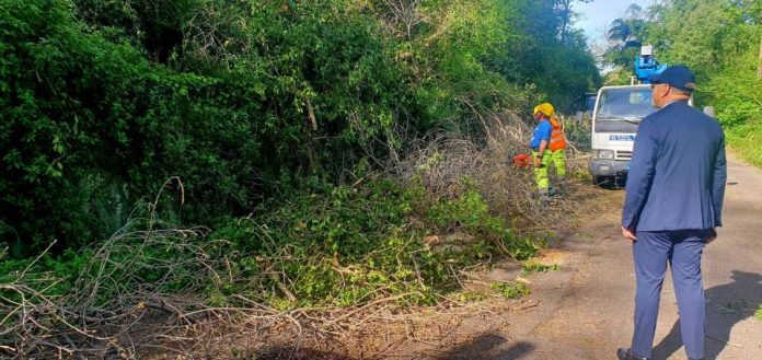 manutenzioneverdemarino