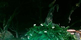 Orchidee dal mondo, l’edizione 2024 a Monte Porzio Catone orchidee_dal_mondo_2024