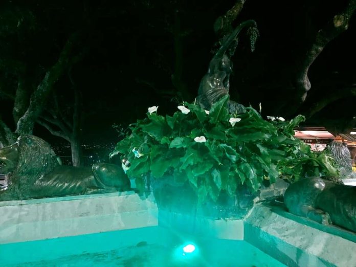 orchidee_dal_mondo_2024