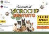 Il 13 e 20 aprile due giornate di microchippatura gratuita presso il Canile comunale di Velletri velletrimicrocippatura