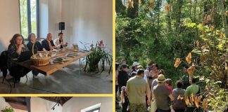 Parco dei Castelli Romani “un fine settimana all’insegna delle orchidee spontanee” orchidee