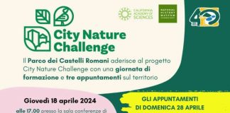 Parco dei Castelli Romani partecipa a City Nature Challenge 2024 parco:city_nature_challenge_2024